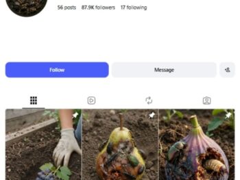 85K AI Fruit Planting Instagram Account
