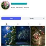 8K Flowers Nature Instagram Account