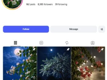 8K Flowers Nature Instagram Account