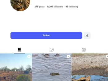 9K Wildlife Adventure Instagram Account
